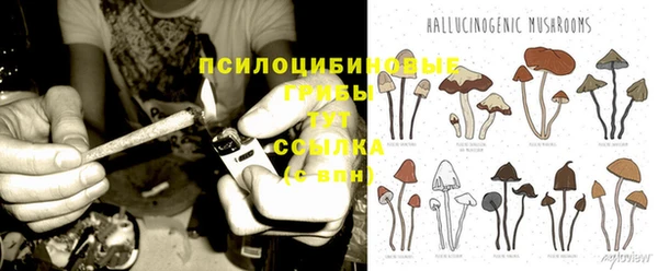 spice Алексин