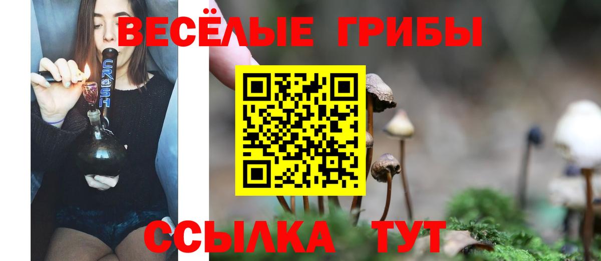 Галлюциногенные грибы GOLDEN TEACHER Коркино