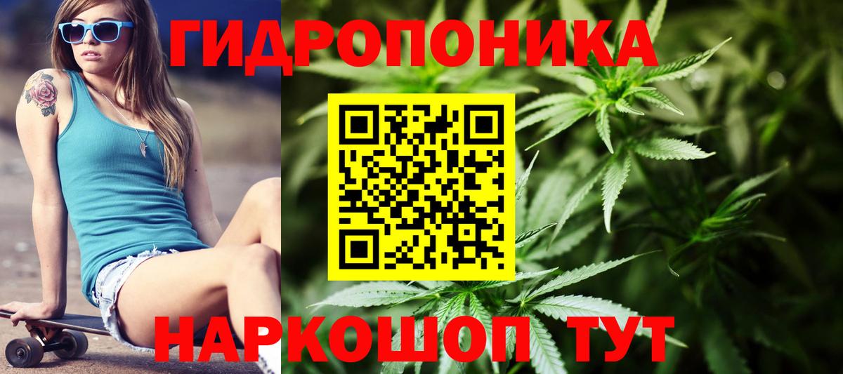 Шишки марихуана планчик Коркино